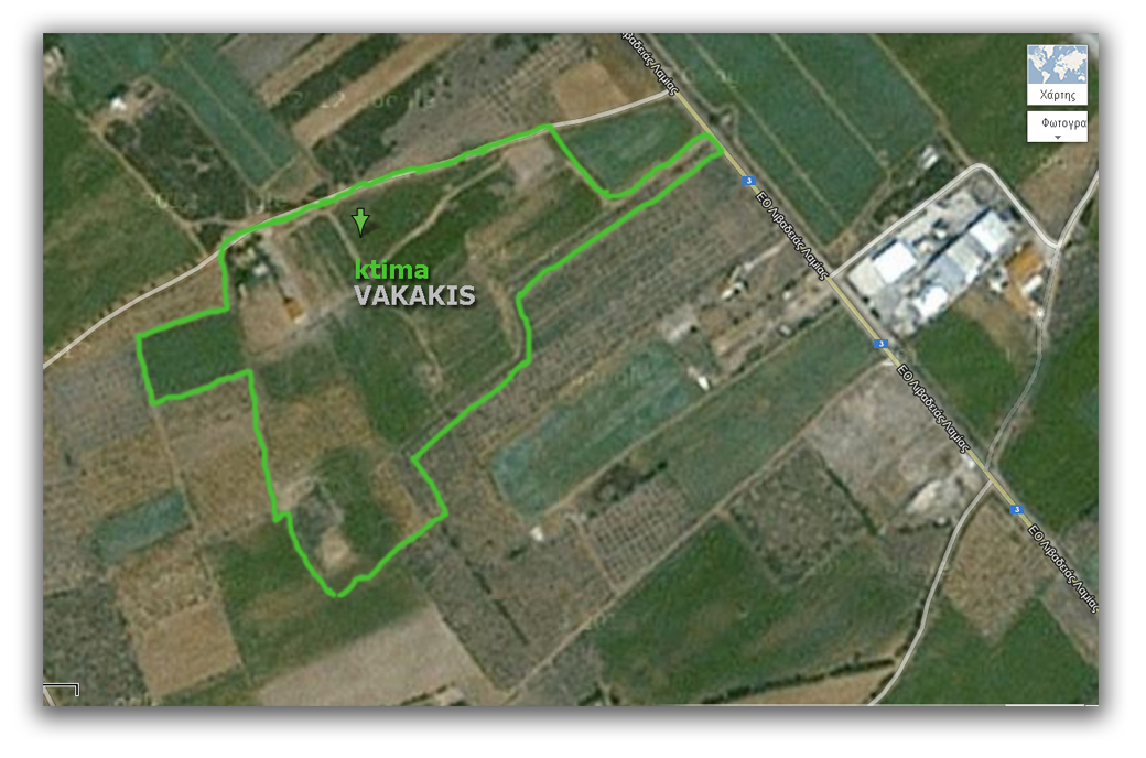 Flat, Fenced, Lot of 10.8 Hectares -ktimavakakis.com